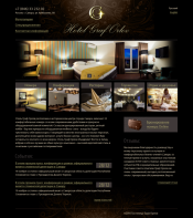 Стилеобразующий дизайн сайта гостиницы «Граф орлов»